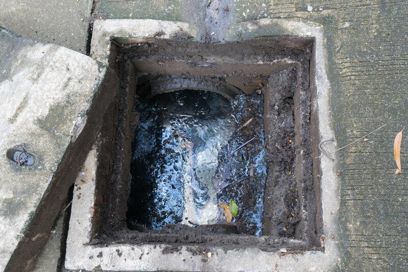 Blocked Sewer Drain Unblocked in Colchester Essex